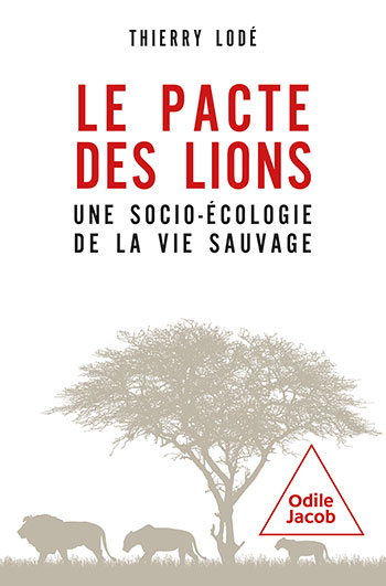 Pacte des lions (Le) - Une socioécologie de la vie sauvage