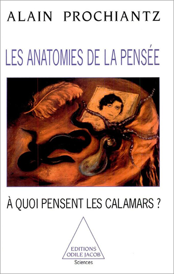 Anatomies de la pensée (Les) - À quoi pensent les calamars ?