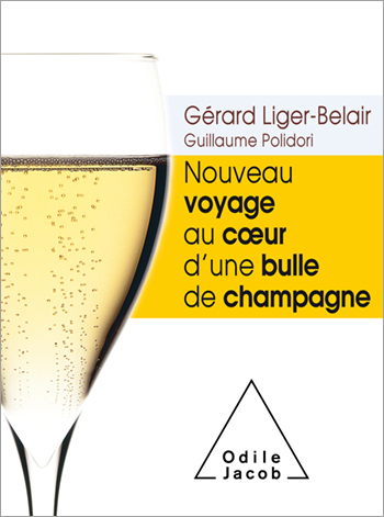 New Voyage to the Heart of a Champagne Bubble