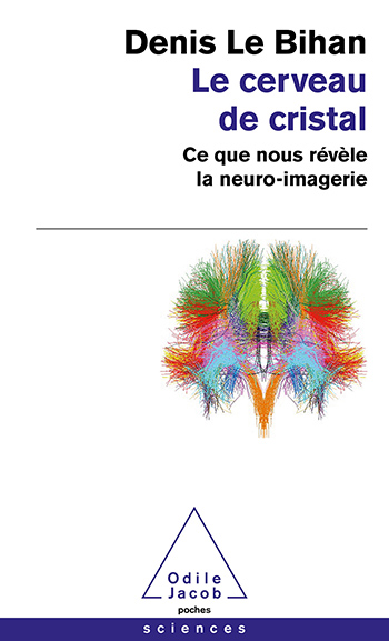 Cerveau de cristal (Le) - Ce que nous révèle la neuro-imagerie